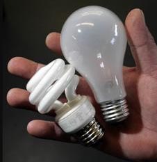  Bulbs old and new