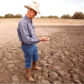 Farmer in parched land