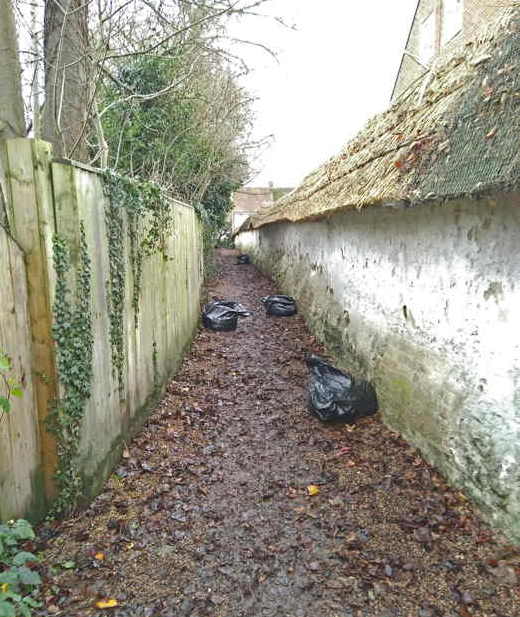 Leafy path