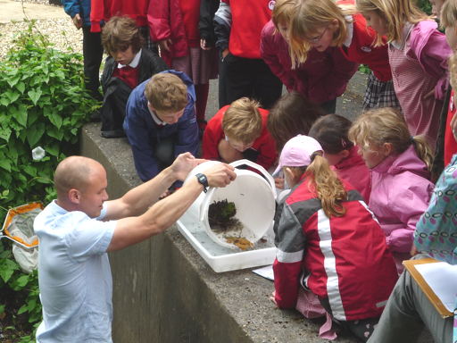 Invertebrate demonstration