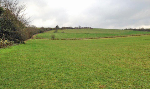 plot before planting