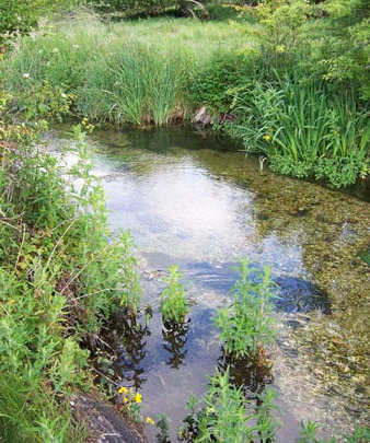chalk stream
