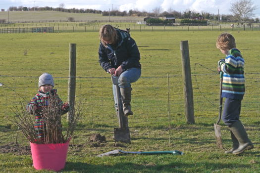 digging