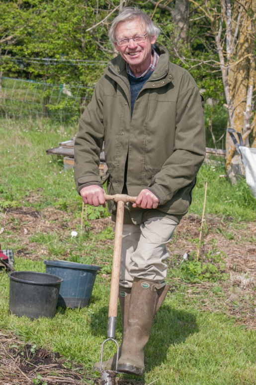 herb planting