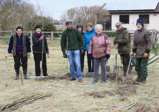 Willow shelter